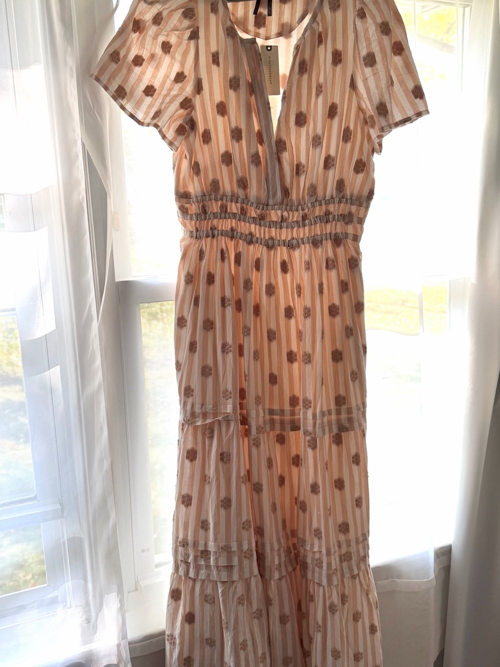 Anthropologie Light beige Floral Stripe Maxi Dress